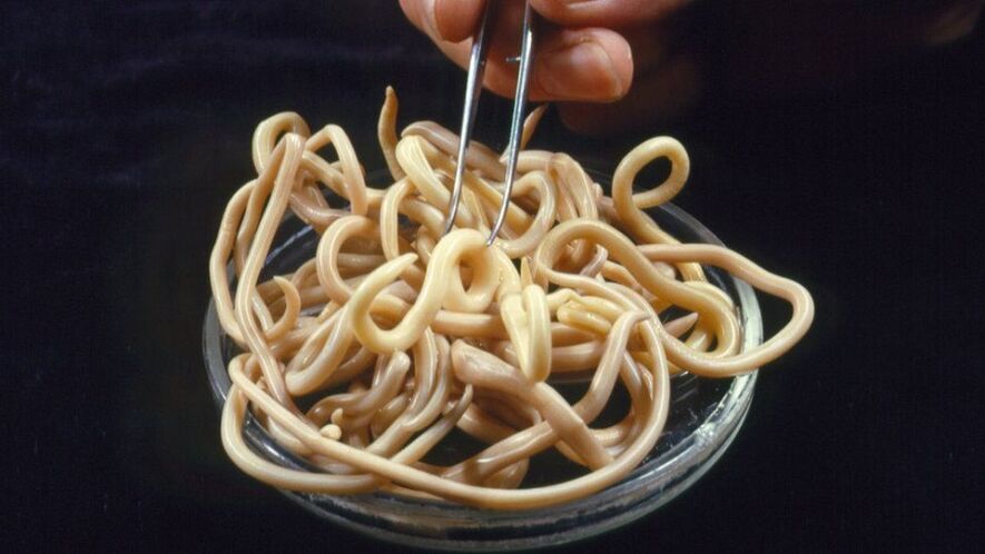 parazitov z ľudského tela